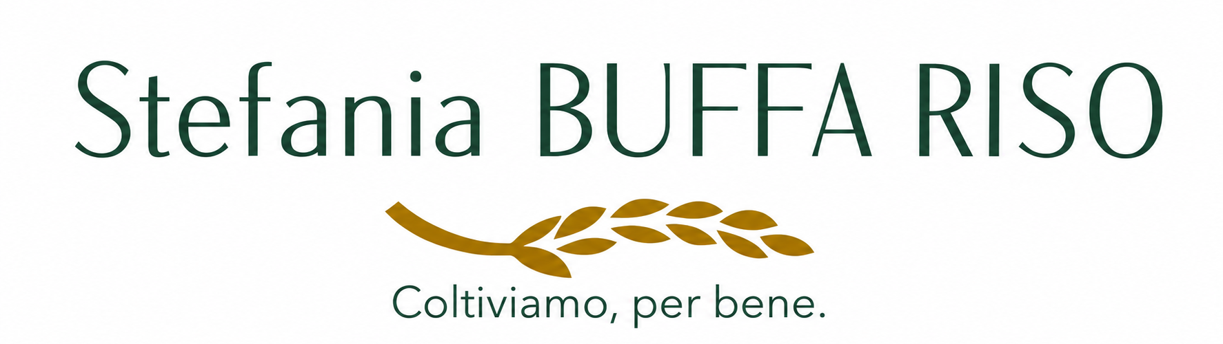 logo versione orizzontale buffa riso